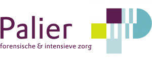 logo_palier-300x122